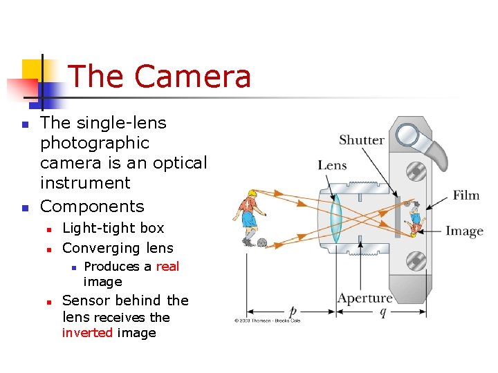 The Camera n n The single-lens photographic camera is an optical instrument Components n