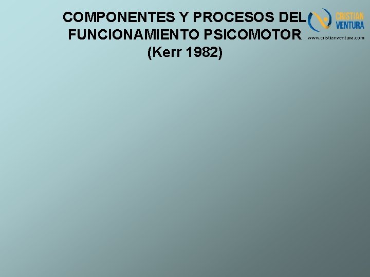 COMPONENTES Y PROCESOS DEL FUNCIONAMIENTO PSICOMOTOR (Kerr 1982) 