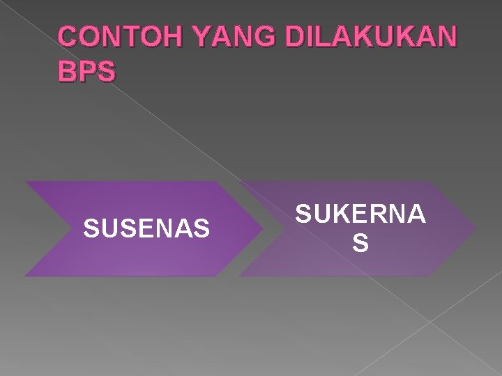 CONTOH YANG DILAKUKAN BPS SUSENAS SUKERNA S 