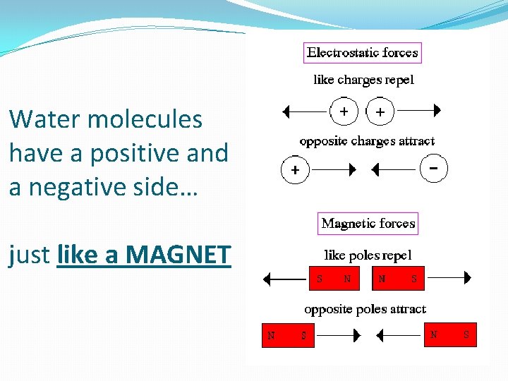 Water molecules have a positive and a negative side… just like a MAGNET 