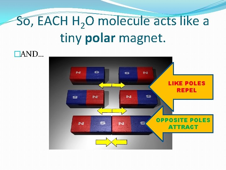 So, EACH H 2 O molecule acts like a tiny polar magnet. �AND… LIKE