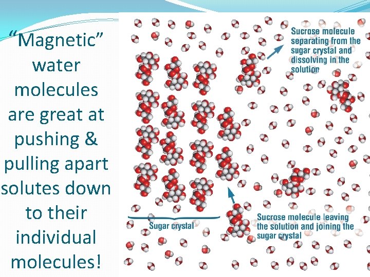 “Magnetic” water molecules are great at pushing & pulling apart solutes down to their