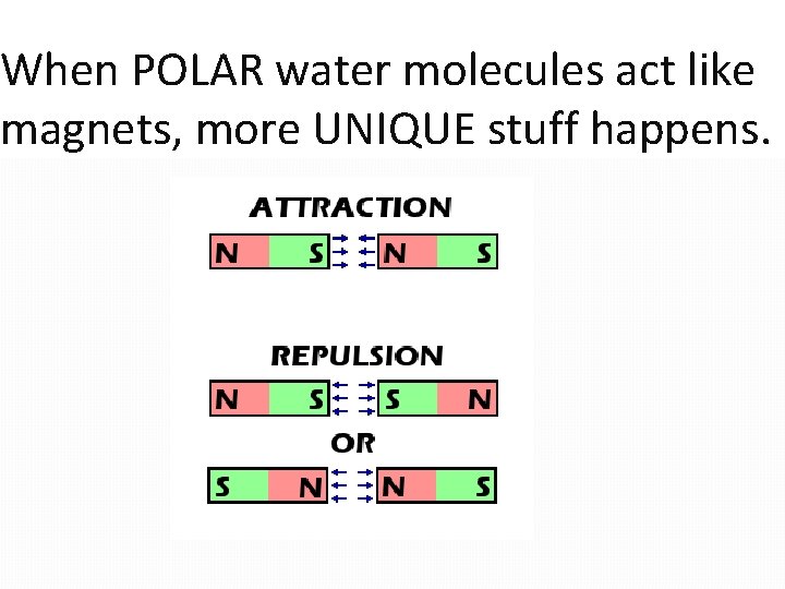 When POLAR water molecules act like magnets, more UNIQUE stuff happens. 