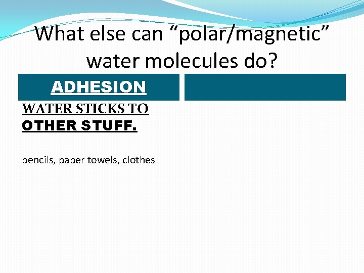 What else can “polar/magnetic” water molecules do? ADHESION WATER STICKS TO OTHER STUFF. pencils,