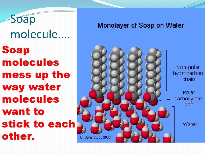 Soap molecule…. Soap molecules mess up the way water molecules want to stick to