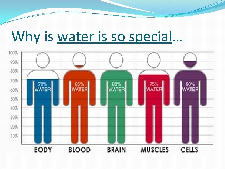 Why is water is so special… 1. It DISSOLVES most stuff—UNIVERSAL SOLVENT 2. It
