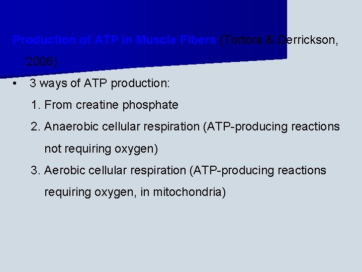 Production of ATP in Muscle Fibers (Tortora & Derrickson, 2006) • 3 ways of