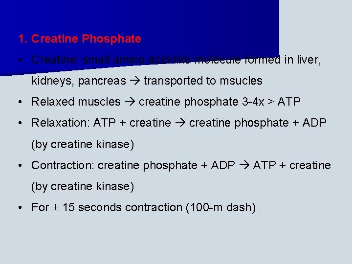 1. Creatine Phosphate • Creatine: small amino acid-like molecule formed in liver, kidneys, pancreas