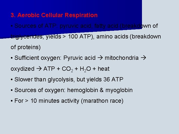 3. Aerobic Cellular Respiration • Sources of ATP: pyruvic acid, fatty acid (breakdown of