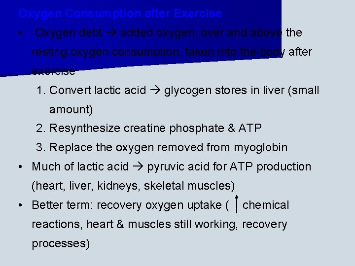 Oxygen Consumption after Exercise • Oxygen debt added oxygen, over and above the resting