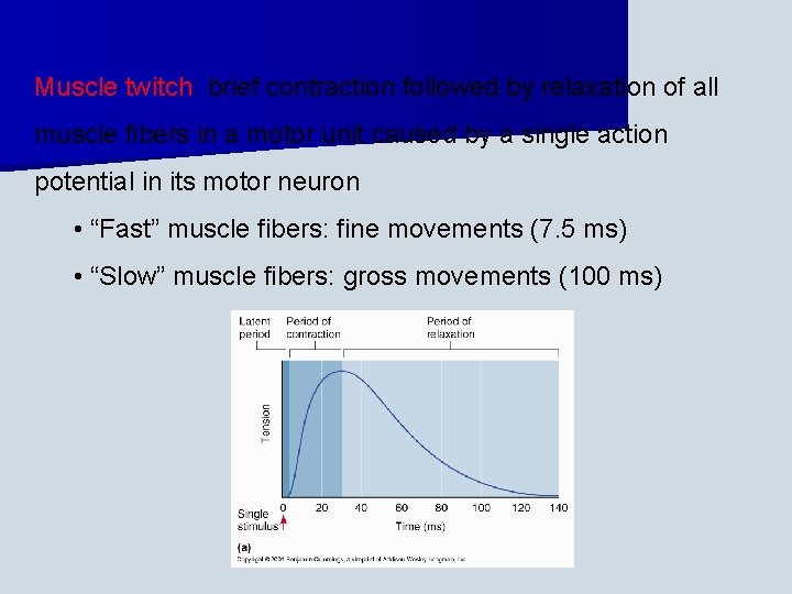 Muscle twitch: brief contraction followed by relaxation of all muscle fibers in a motor