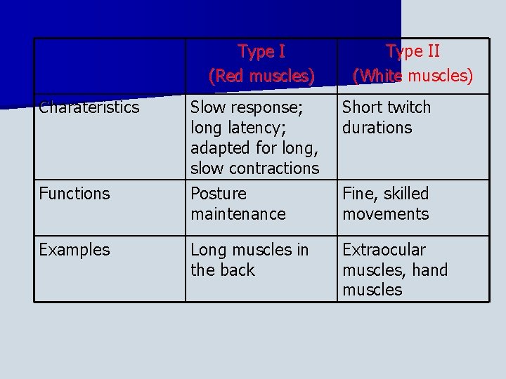 Type I (Red muscles) Charateristics Functions Examples Type II (White muscles) Slow response; long