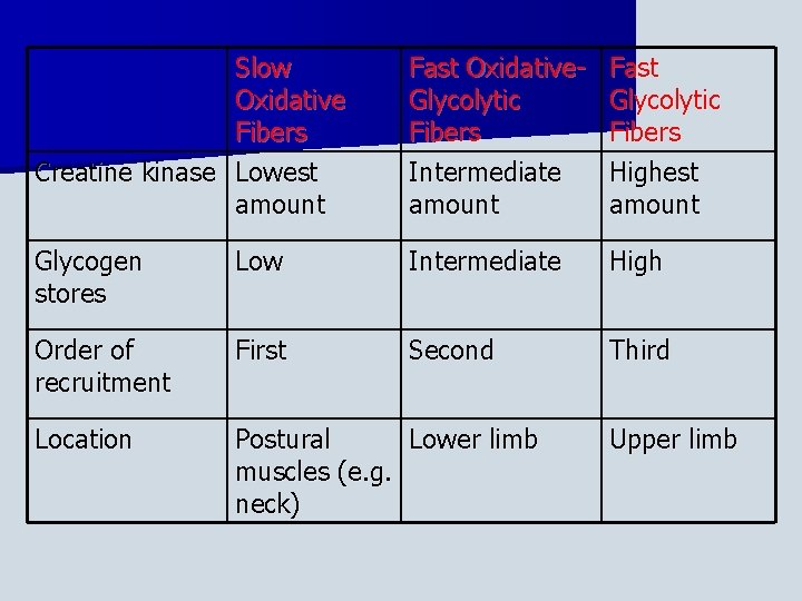Slow Oxidative Fibers Creatine kinase Lowest amount Fast Oxidative. Glycolytic Fibers Intermediate amount Fast