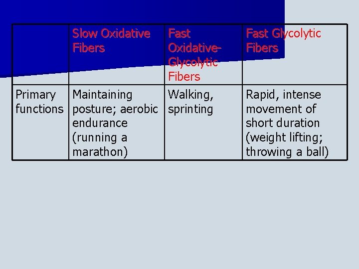 Slow Oxidative Fibers Fast Oxidative. Glycolytic Fibers Primary Maintaining Walking, functions posture; aerobic sprinting