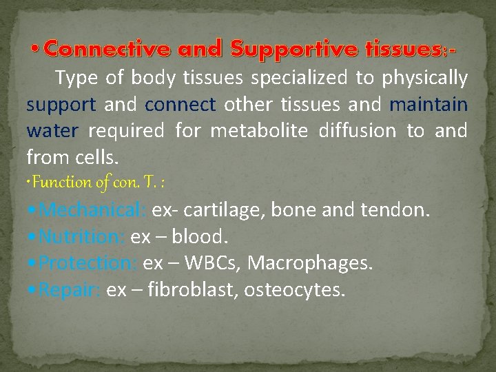  • Connective and Supportive tissues: Type of body tissues specialized to physically support