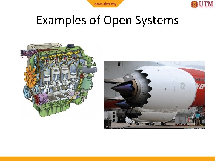 Examples of Open Systems 