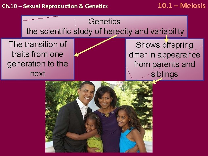 Ch. 10 – Sexual Reproduction & Genetics 10. 1 – Meiosis Genetics the scientific