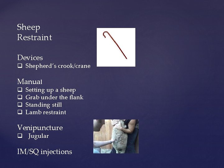 Sheep Restraint Devices q Shepherd’s crook/crane Manual q q Setting up a sheep Grab