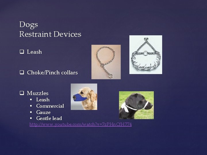 Dogs Restraint Devices q Leash q Choke/Pinch collars q Muzzles § § Leash Commercial