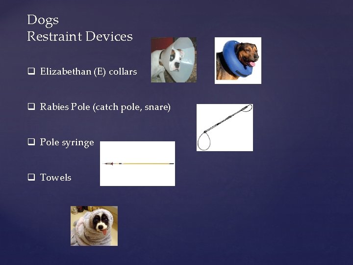 Dogs Restraint Devices q Elizabethan (E) collars q Rabies Pole (catch pole, snare) q