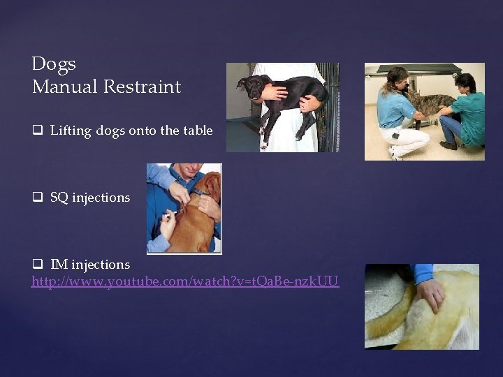 Dogs Manual Restraint q Lifting dogs onto the table q SQ injections q IM