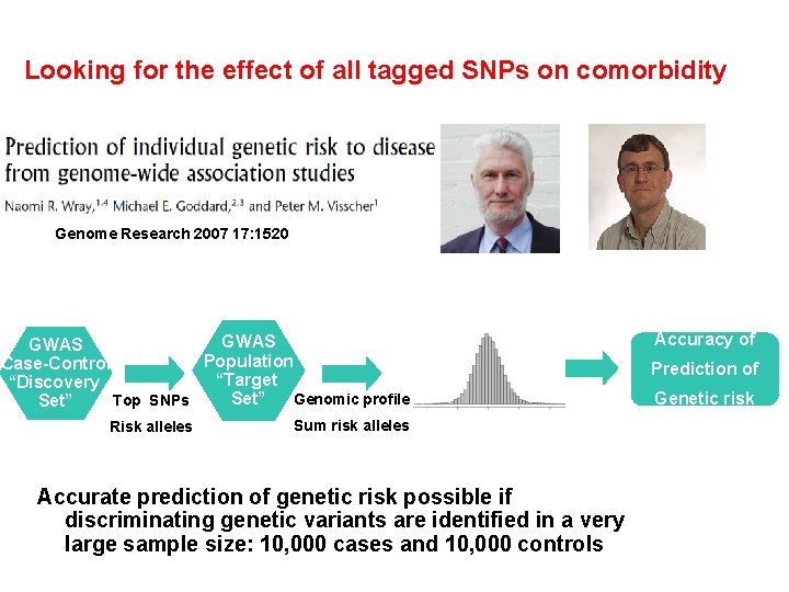 Looking for the effect of all tagged SNPs on comorbidity Genome Research 2007 17: