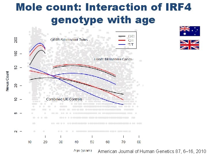 Mole count: Interaction of IRF 4 genotype with age American Journal of Human Genetics