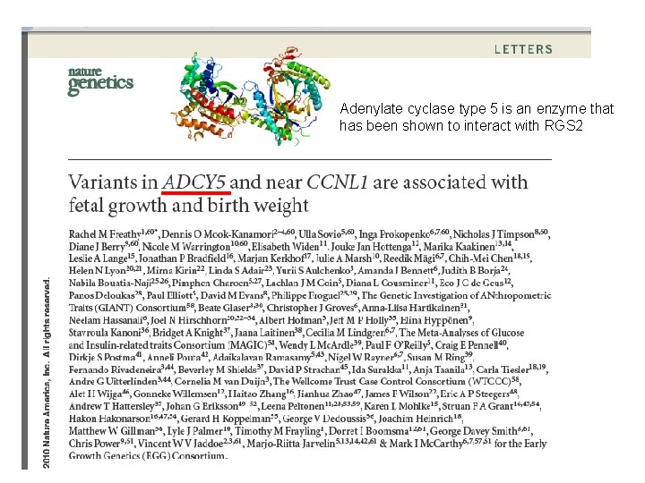 Adenylate cyclase type 5 is an enzyme that has been shown to interact with