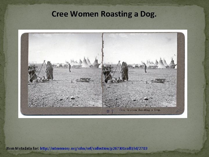 Cree Women Roasting a Dog. Item Metadata for: http: //mtmemory. org/cdm/ref/collection/p 267301 coll 3/id/2783 Cree Women Roasting a Dog. Item Metadata for: http: //mtmemory. org/cdm/ref/collection/p 267301 coll 3/id/2783