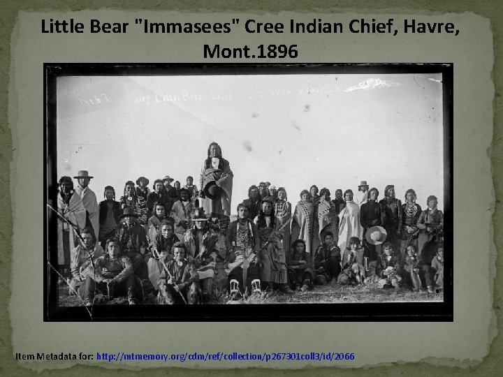Little Bear "Immasees" Cree Indian Chief, Havre, Mont. 1896 Item Metadata for: http: //mtmemory. Little Bear "Immasees" Cree Indian Chief, Havre, Mont. 1896 Item Metadata for: http: //mtmemory.