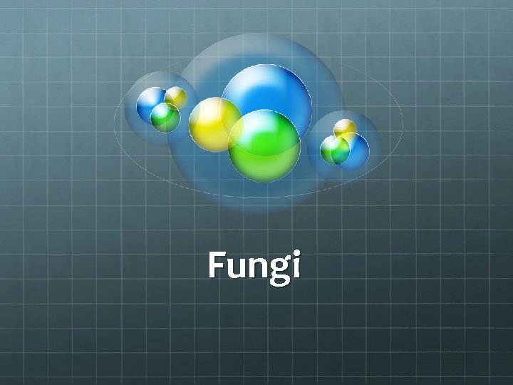 Fungi 