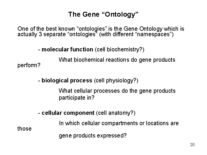 The Gene “Ontology” One of the best known “ontologies” is the Gene Ontology which The Gene “Ontology” One of the best known “ontologies” is the Gene Ontology which