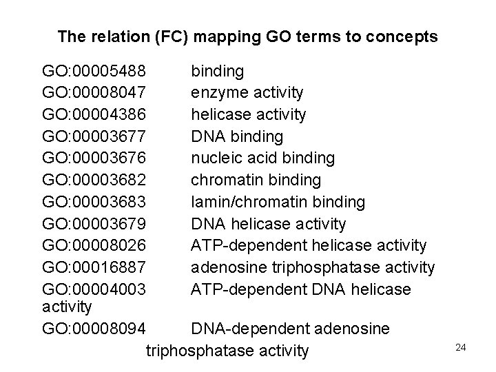 The relation (FC) mapping GO terms to concepts GO: 00005488 binding GO: 00008047 enzyme The relation (FC) mapping GO terms to concepts GO: 00005488 binding GO: 00008047 enzyme