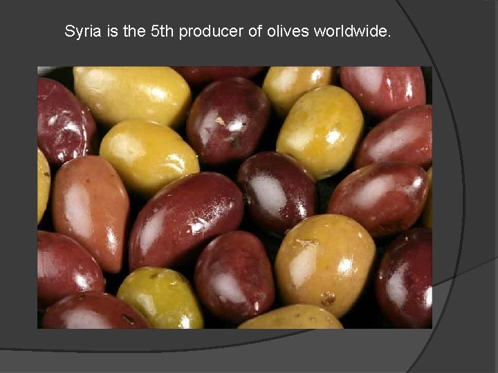 Syria is the 5 th producer of olives worldwide. 