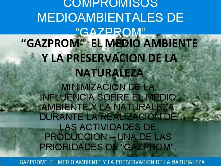 COMPROMISOS MEDIOAMBIENTALES DE “GAZPROM” EL MEDIO AMBIENTE Y LA PRESERVACION DE LA NATURALEZA MINIMIZACION