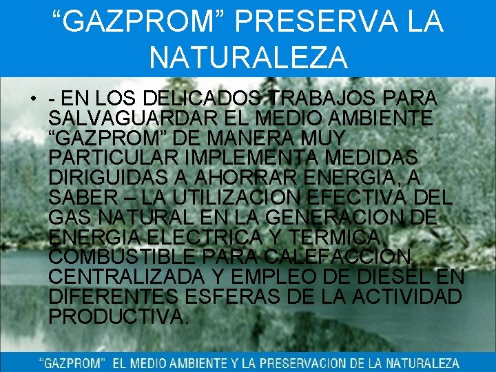 “GAZPROM” PRESERVA LA NATURALEZA • - EN LOS DELICADOS TRABAJOS PARA SALVAGUARDAR EL MEDIO