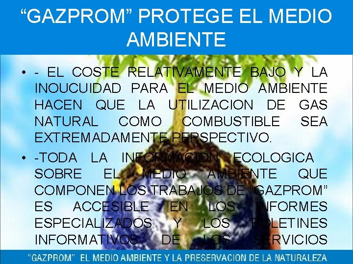 “GAZPROM” PROTEGE EL MEDIO AMBIENTE • - EL COSTE RELATIVAMENTE BAJO Y LA INOUCUIDAD