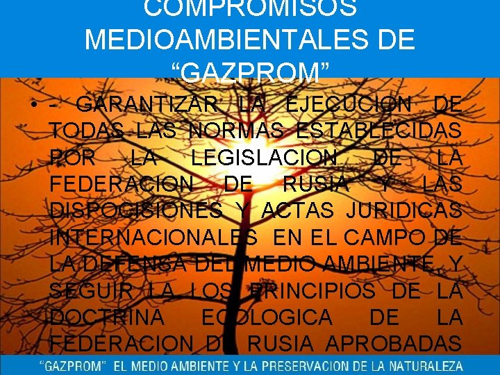 COMPROMISOS MEDIOAMBIENTALES DE “GAZPROM” • - GARANTIZAR LA EJECUCION DE TODAS LAS NORMAS ESTABLECIDAS