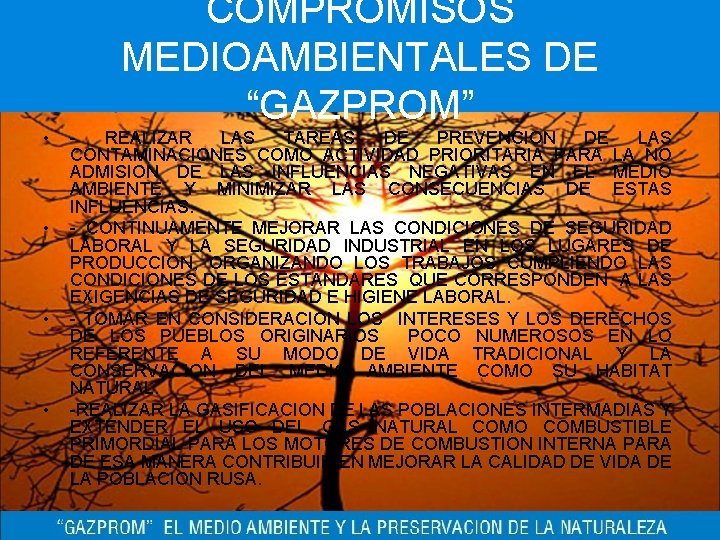  • • COMPROMISOS MEDIOAMBIENTALES DE “GAZPROM” REALIZAR LAS TAREAS DE PREVENCION DE LAS