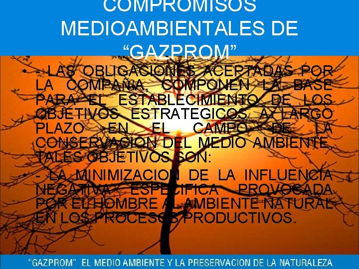 COMPROMISOS MEDIOAMBIENTALES DE “GAZPROM” • - LAS OBLIGACIONES ACEPTADAS POR LA COMPAÑIA, COMPONEN LA