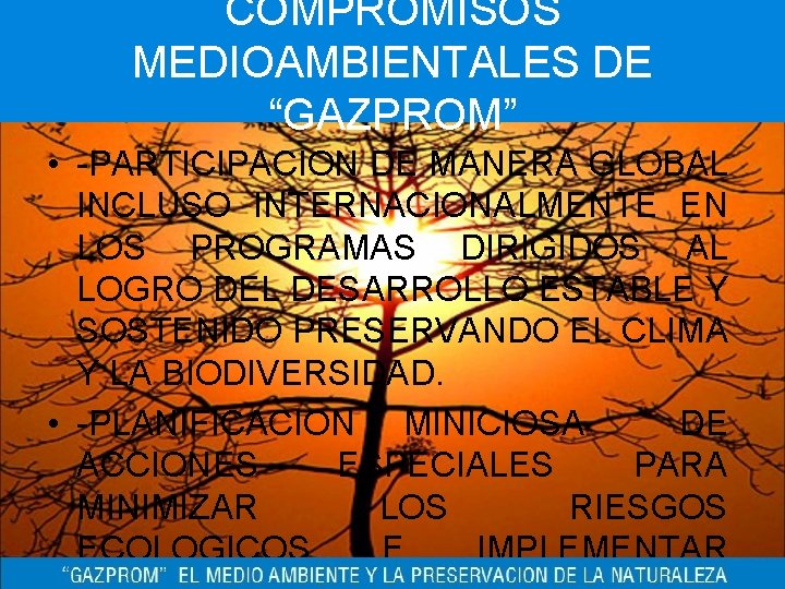 COMPROMISOS MEDIOAMBIENTALES DE “GAZPROM” • -PARTICIPACION DE MANERA GLOBAL INCLUSO INTERNACIONALMENTE EN LOS PROGRAMAS