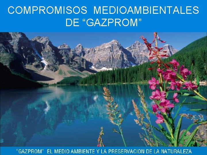 COMPROMISOS MEDIOAMBIENTALES DE “GAZPROM” 