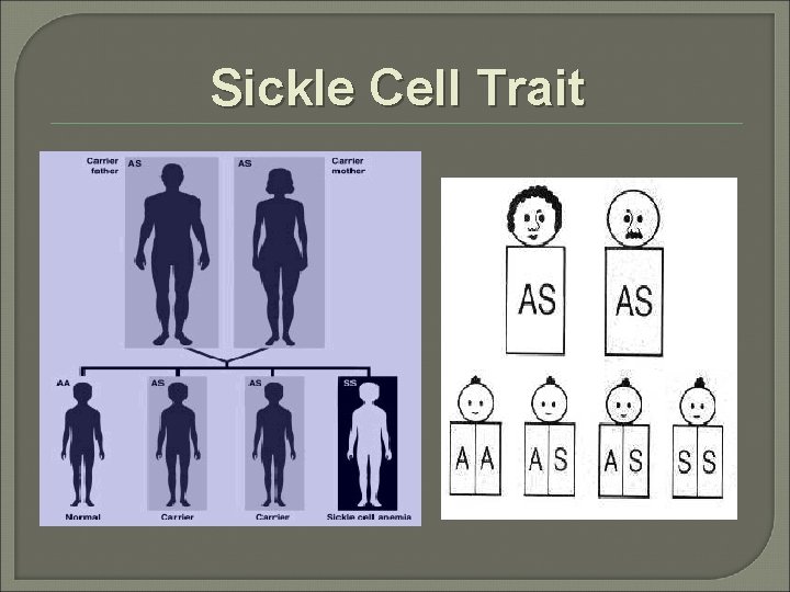 Sickle Cell Trait 