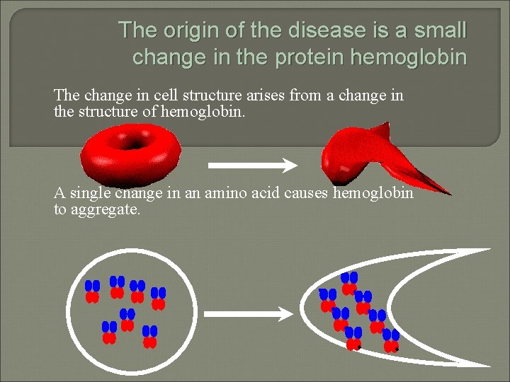 The origin of the disease is a small change in the protein hemoglobin The