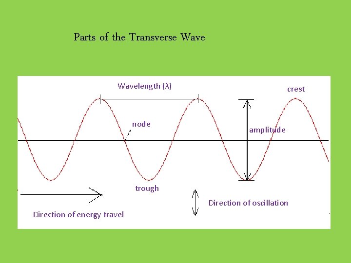 Parts of the Transverse Wavelength (λ) node crest amplitude trough Direction of oscillation Direction