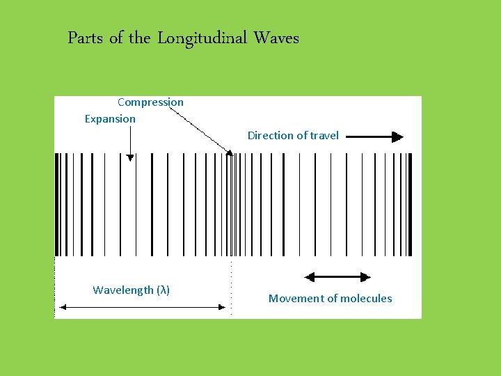 Parts of the Longitudinal Waves Compression Expansion Direction of travel Wavelength (λ) Movement of