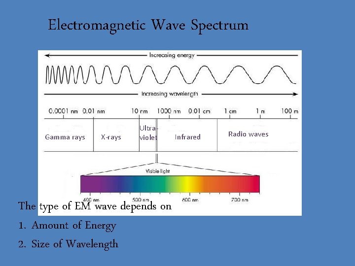 Electromagnetic Wave Spectrum Gamma rays X-rays Ultraviolet The type of EM wave depends on