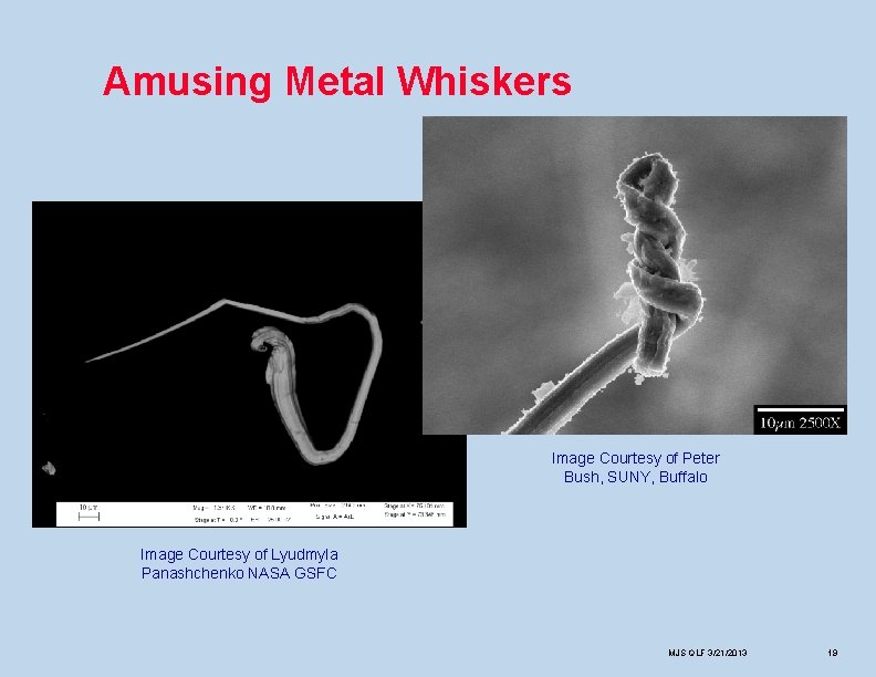 Amusing Metal Whiskers Image Courtesy of Peter Bush, SUNY, Buffalo Image Courtesy of Lyudmyla