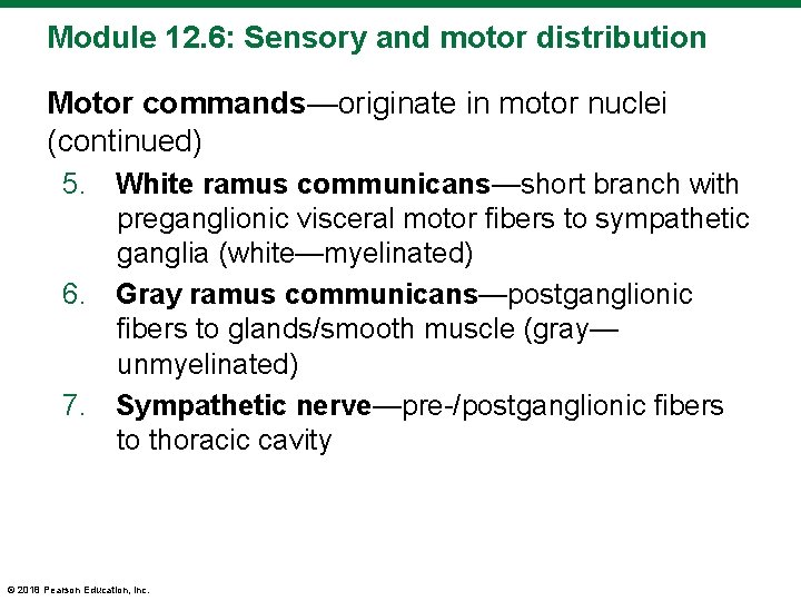 Module 12. 6: Sensory and motor distribution Motor commands—originate in motor nuclei (continued) 5.