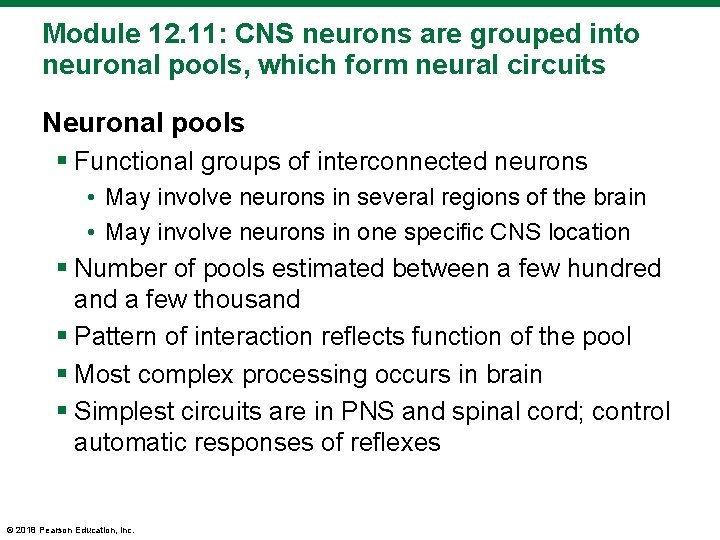 Module 12. 11: CNS neurons are grouped into neuronal pools, which form neural circuits